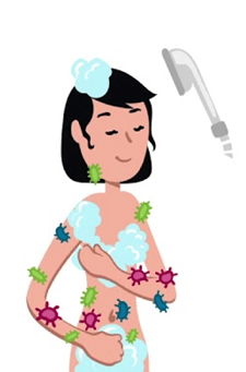 Lire la suite à propos de l’article La douche préopératoire : un geste essentiel !